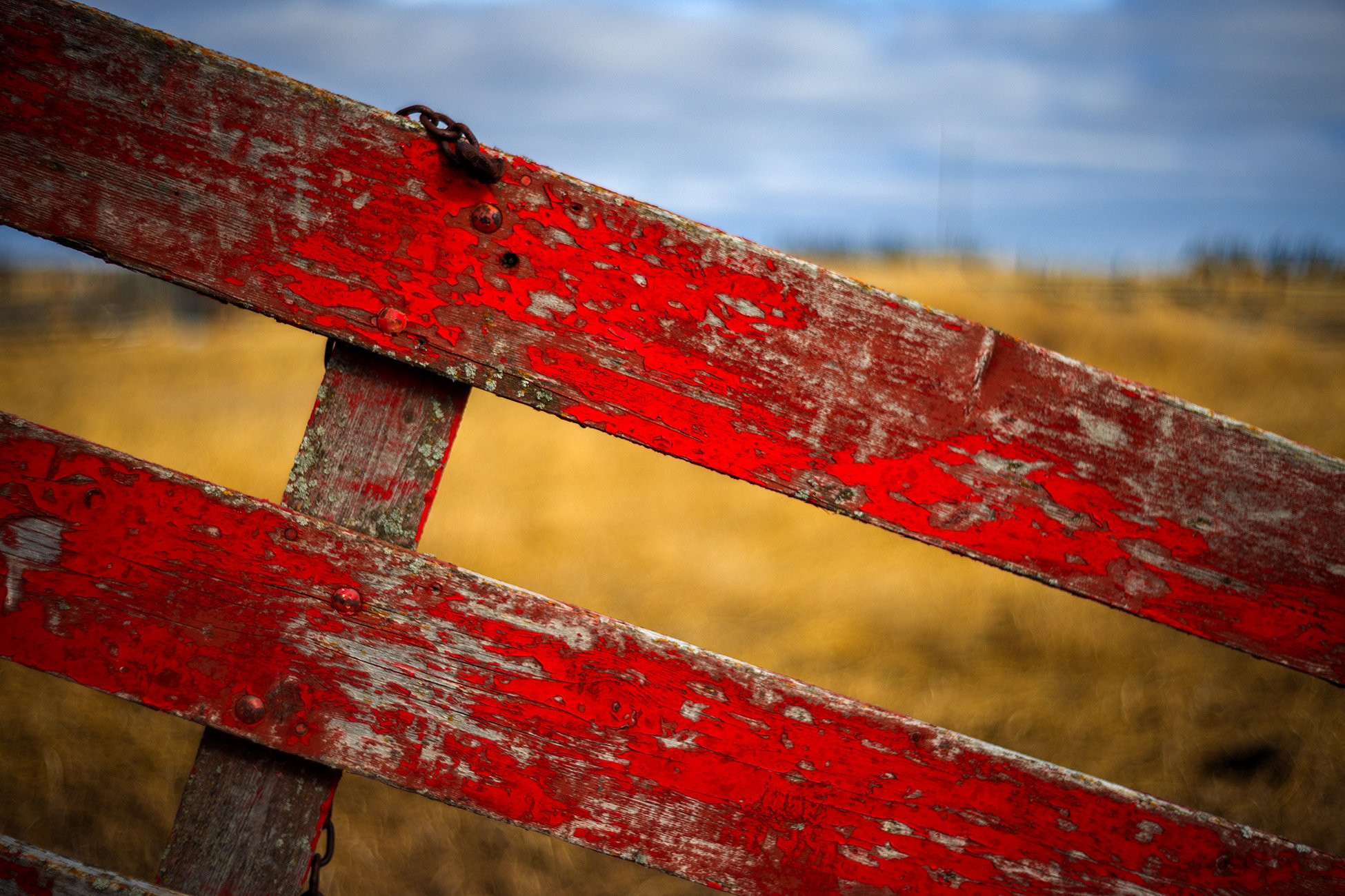 Fenced in 01, Sunnyridge Farm, Kirriemuir, AB, 2026-04-02