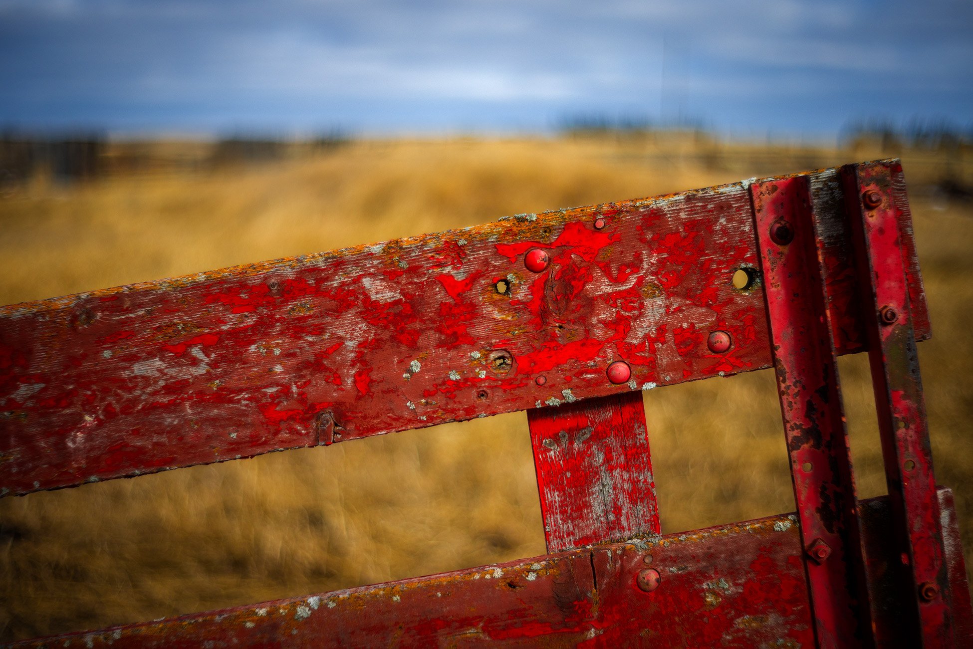 Fenced in 02, Sunnyridge Farm, Kirriemuir, AB, 2026-04-02