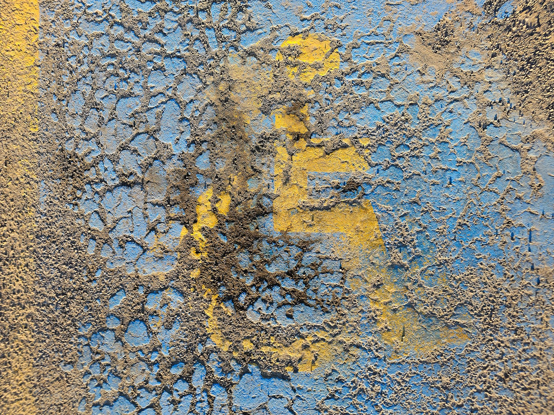 Handicapped only, Sobey's Parking Lot, Strathmore, AB, 2026-04-10