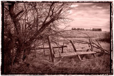 WWhen it's all falling apart at the same time, Sunnyridge Farm, Kirriemuir, AB, 2026-04-04