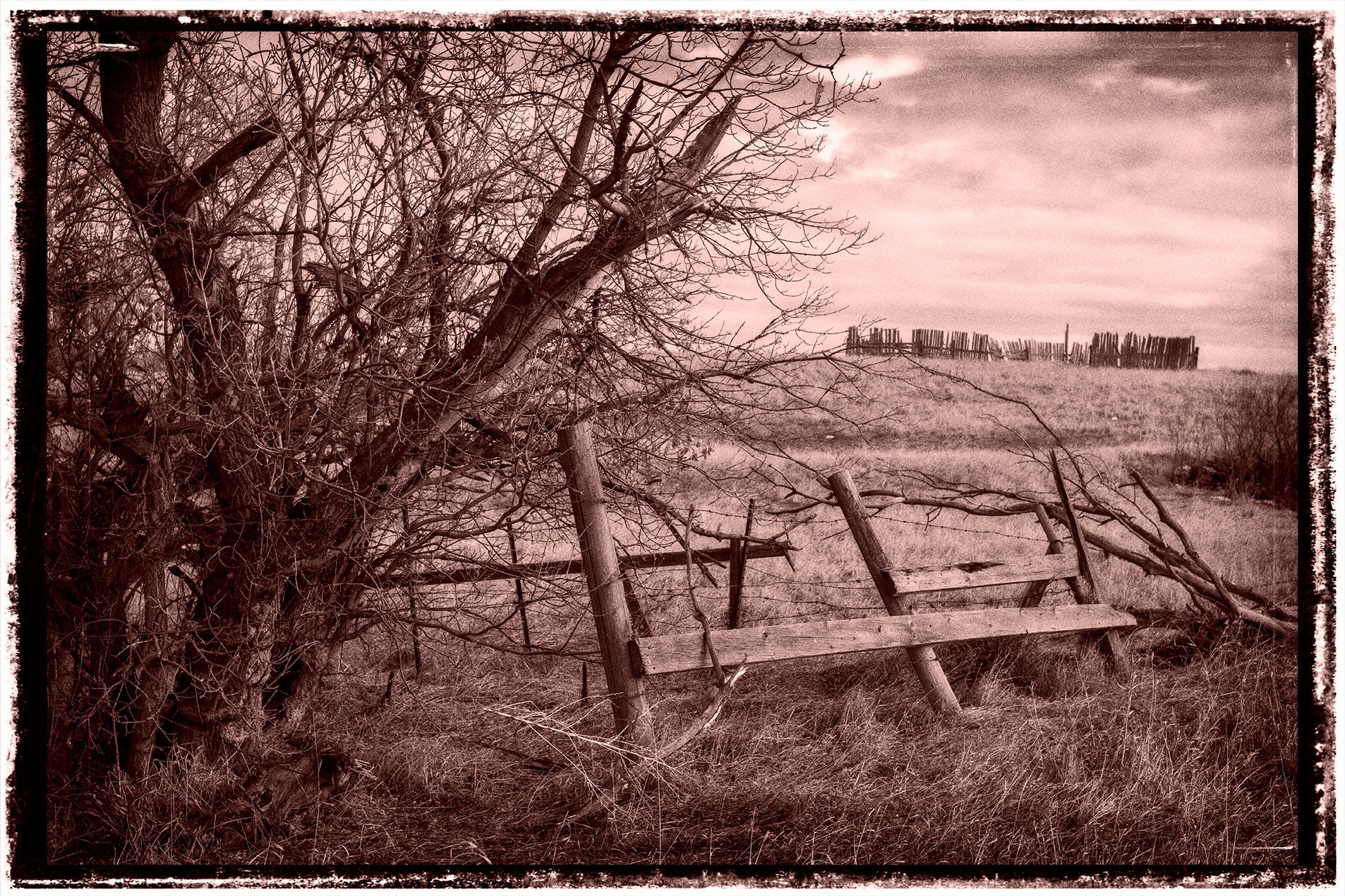 WWhen it's all falling apart at the same time, Sunnyridge Farm, Kirriemuir, AB, 2026-04-04