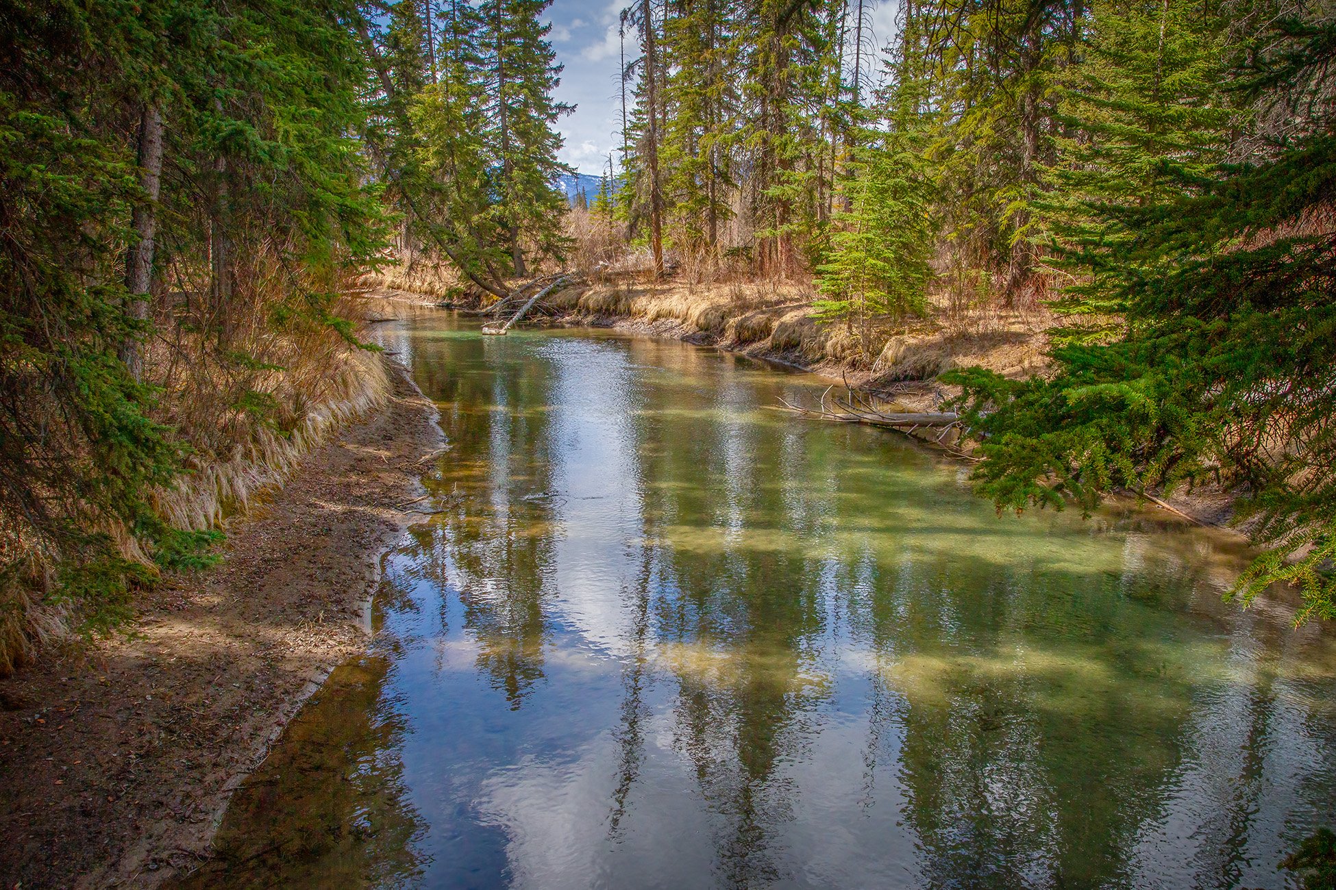 Peeking upstream, Banff, AB, 2026-05-01