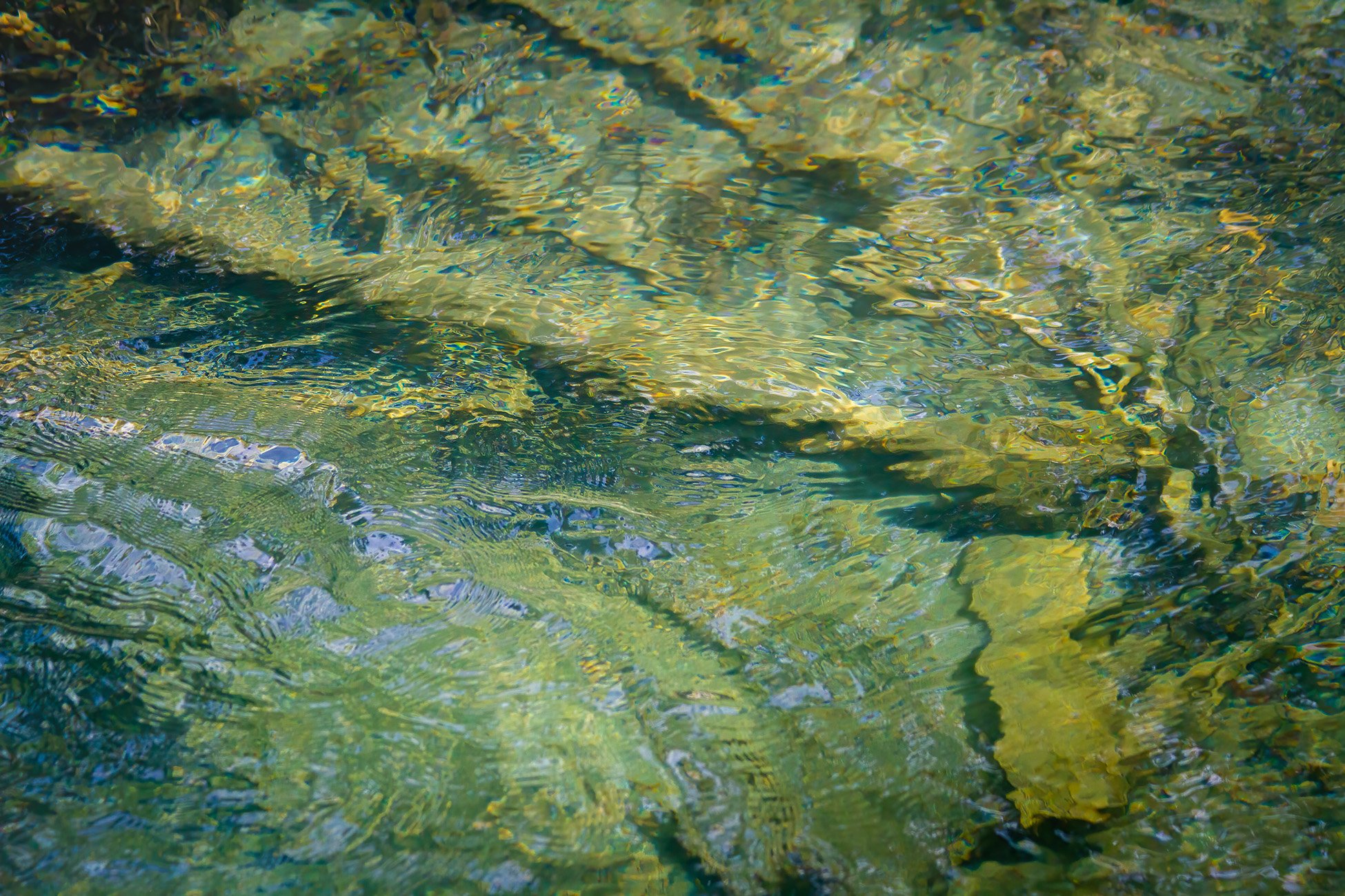 Rerflecting pool, Banff, AB, 2026-05-01