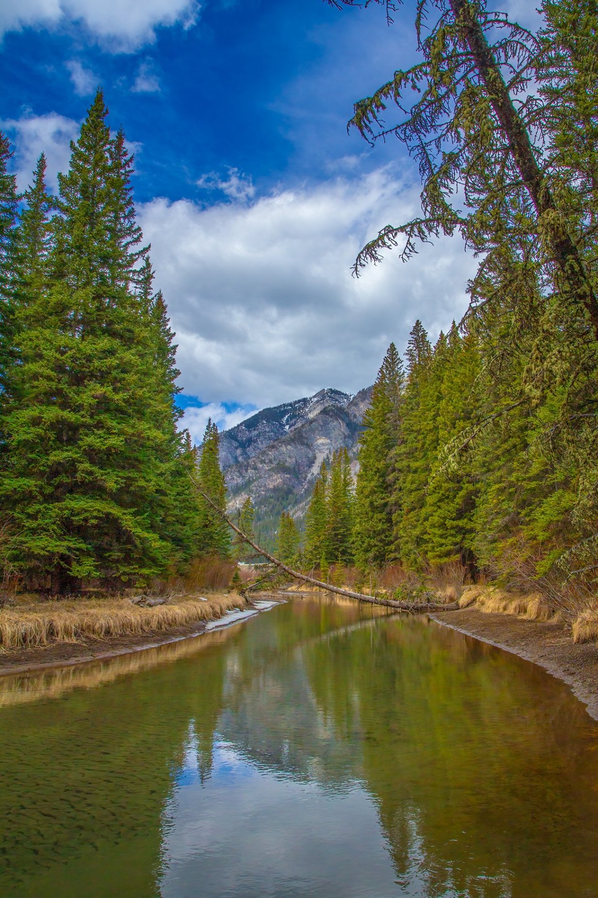 The distant mountaint, Banff, AB, 2026-05-01