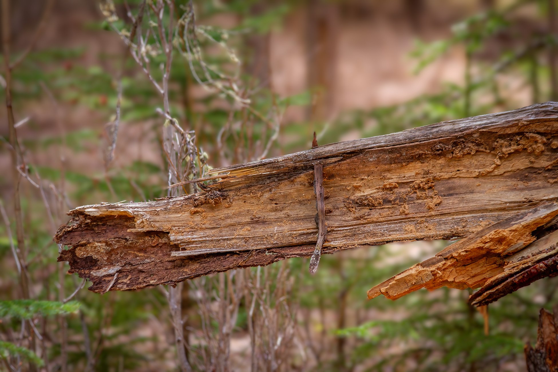The relationship ended badly, Banff, AB, 2026-05-01