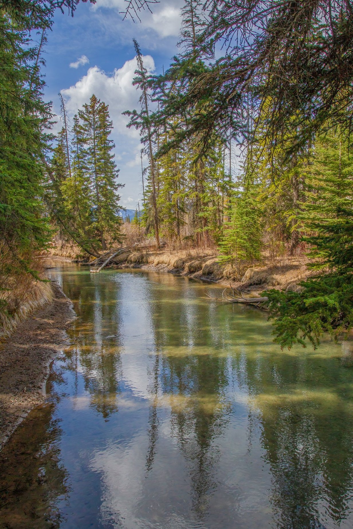 The sun peaking through the shadows, Banff, AB, 2026-05-01