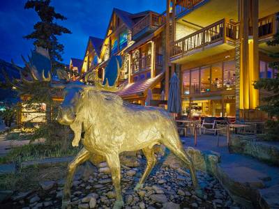Not exactly the golden calf, Moose Hotel, Banff, AB, 2026-05-01