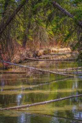 Good luck paddling through that, Banff, AB, 2026-05-01