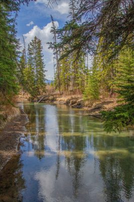 The sun peaking through the shadows, Banff, AB, 2026-05-01
