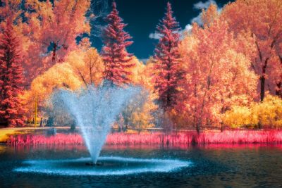 Fountain of youth, Kinsmen Lake, Strathmore, AB, 2026-06-09 (False Colour)