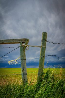 You're going to need more rope, North of Strathmore, AB, 2026-06-20