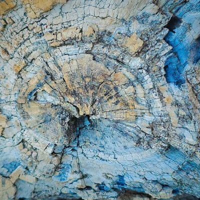 Petrified Log, Drumheller, AB, 2026-06-24