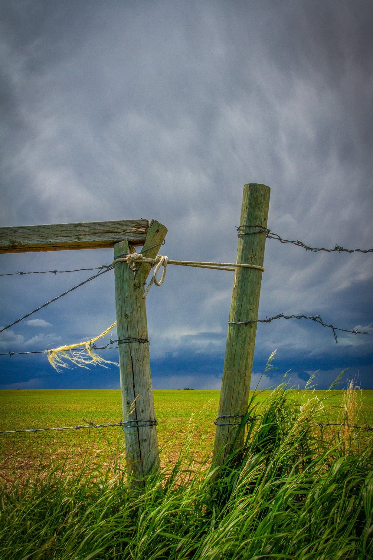 You're going to need more rope, North of Strathmore, AB, 2026-06-20