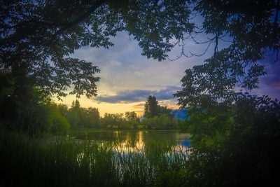 Sunset through foliage, Salmon Arm, BC, 2025-06-21.