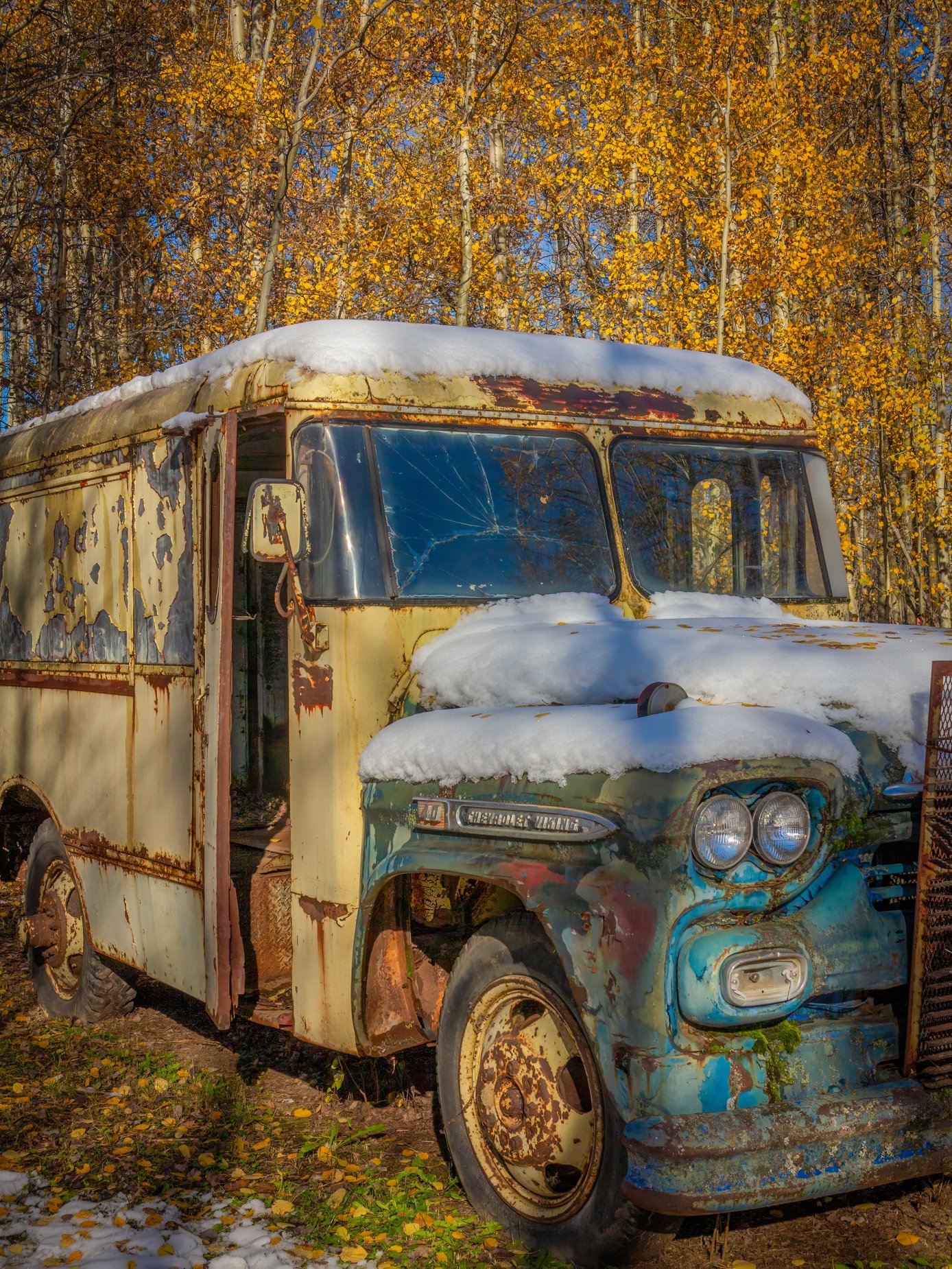 1958 Chevrolet Viking 40 milk truck parked in the weeds.