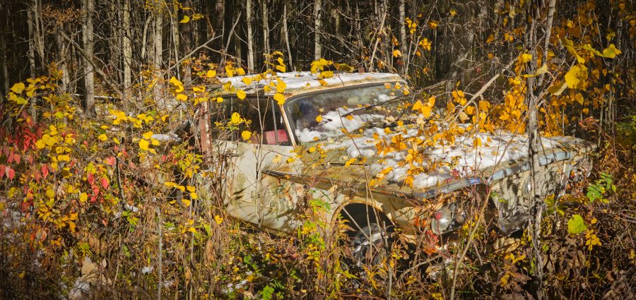 Old Valiant that has grown in and become part of the woods where it was abandoned decades ago. Found in an early morning walk after a fall snowfall event.