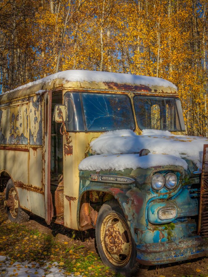 1958 Chevrolet Viking 40 milk truck parked in the weeds.