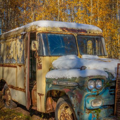 1958 Chevrolet Viking 40 milk truck parked in the weeds.
